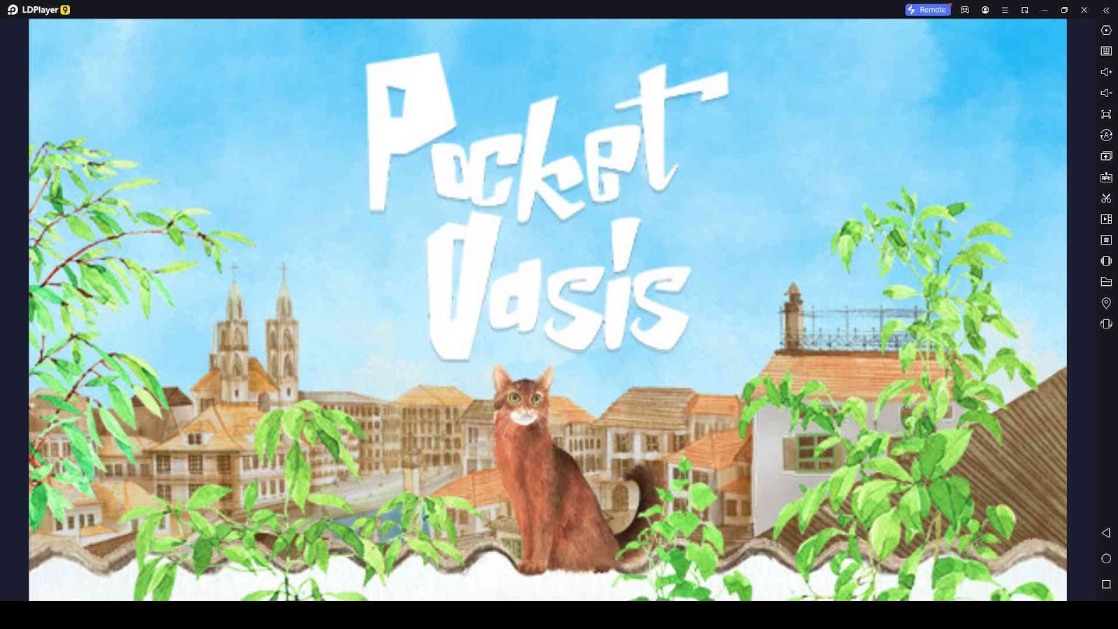 Pocket Oasis Codes