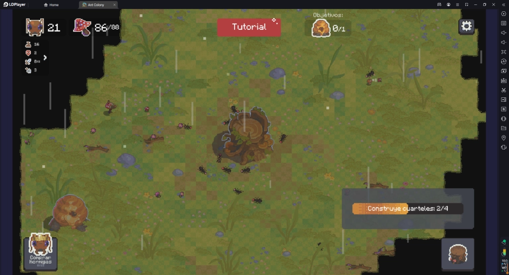 Ant Colony: Wild Forest - Descripción y Guía para Principiantes