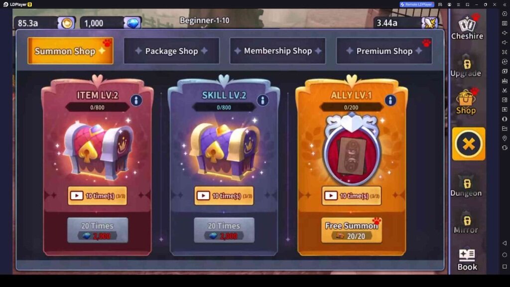 Summon Your Allies, Items and Skills