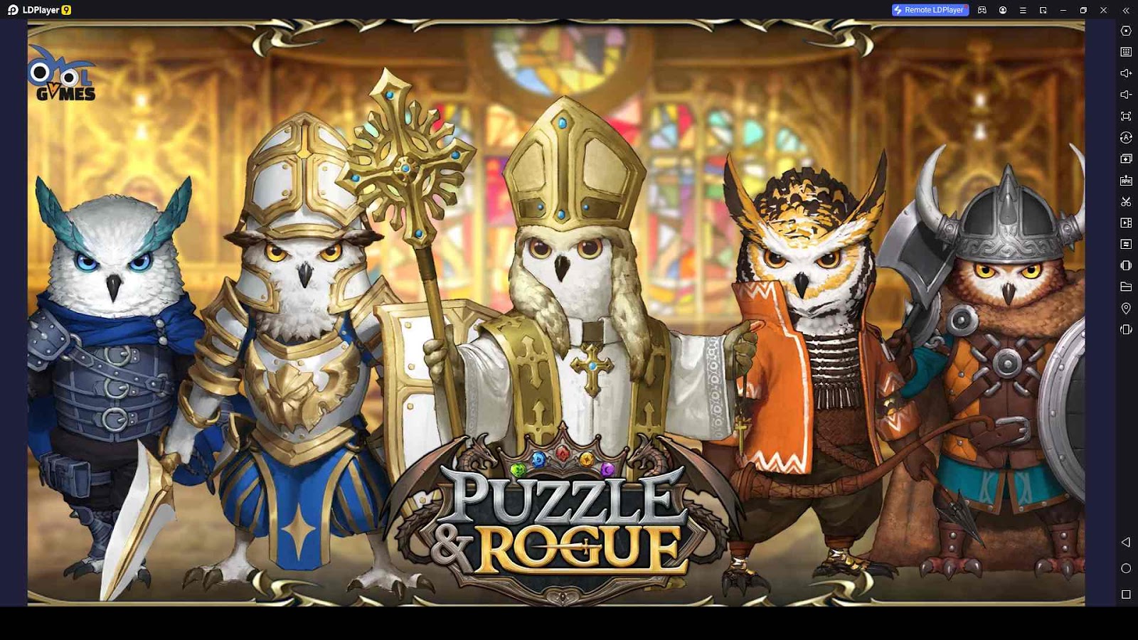 Puzzle & Rogue Codes