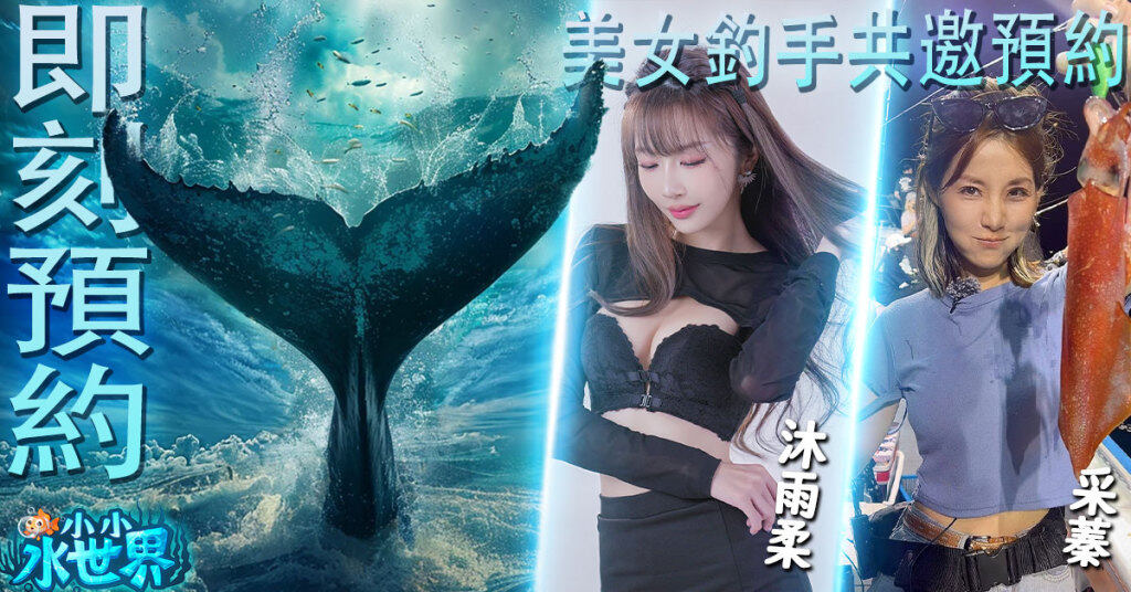 《小小水世界》公開上市日期&直播PK對抗賽預告